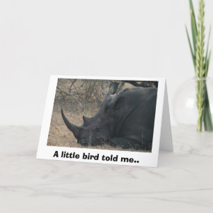 White Rhino gets Advice from a Little Bird, A l... Card