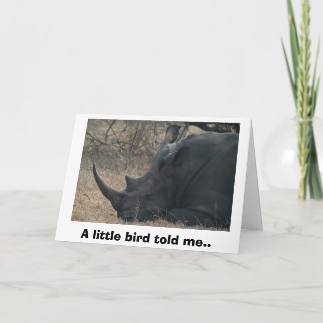 White Rhino gets Advice from a Little Bird, A l... Card (Front)