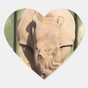 White Rhino Heart Sticker