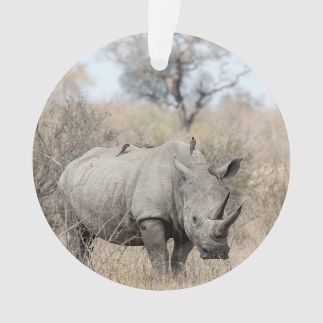White Rhino Ornament (Front)