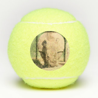 White Rhino Tennis Balls
