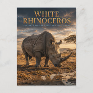 White Rhinoceros Savanna ANIMALS Postcard