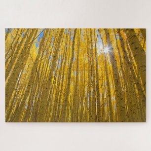 White River National Forest Jigsaw Puzzle