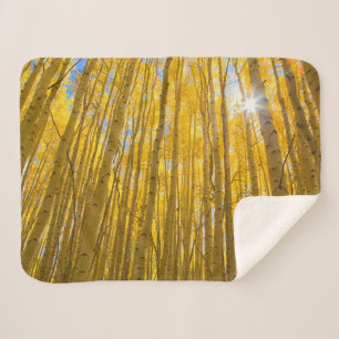 White River National Forest Sherpa Blanket