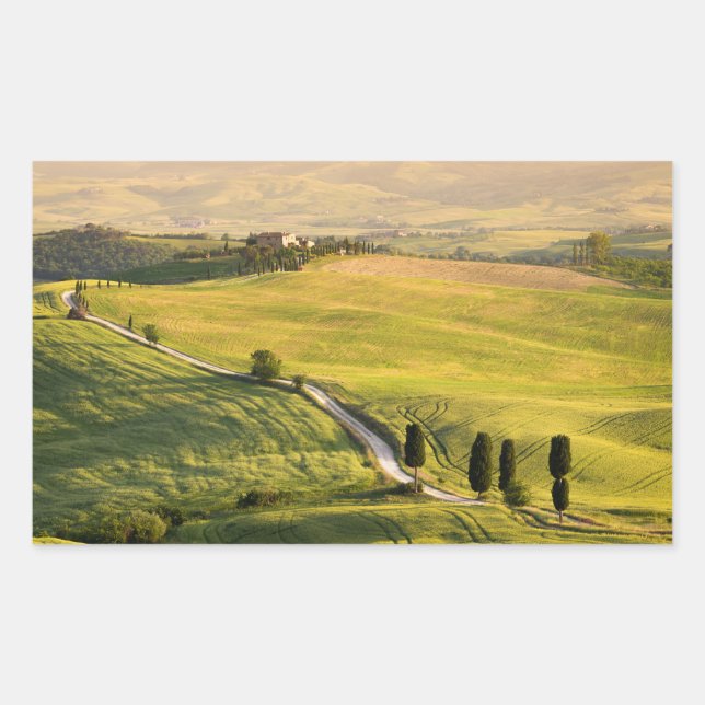 White road in Tuscany landscape rectangle sticker (Front)