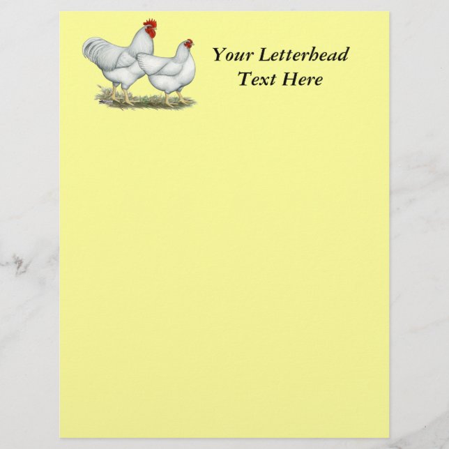 White Rock Chickens (Front)
