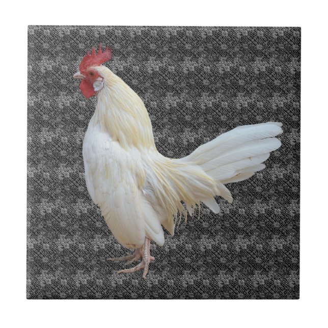 WHITE ROCK ROOSTER TILE (Front)
