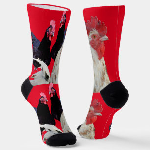 White Rooster And Black Hens, Socks