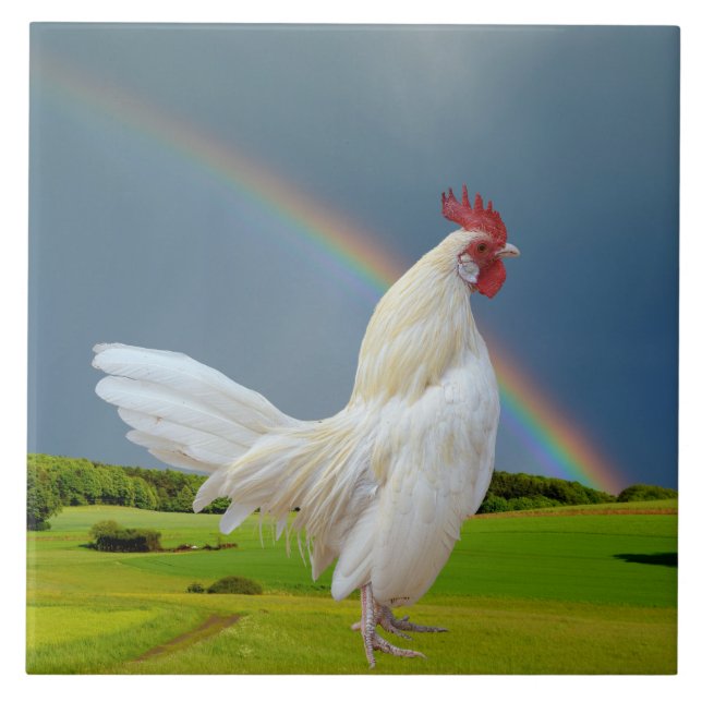 WHITE ROOSTER UNDER A RAINBOW TILE (Front)