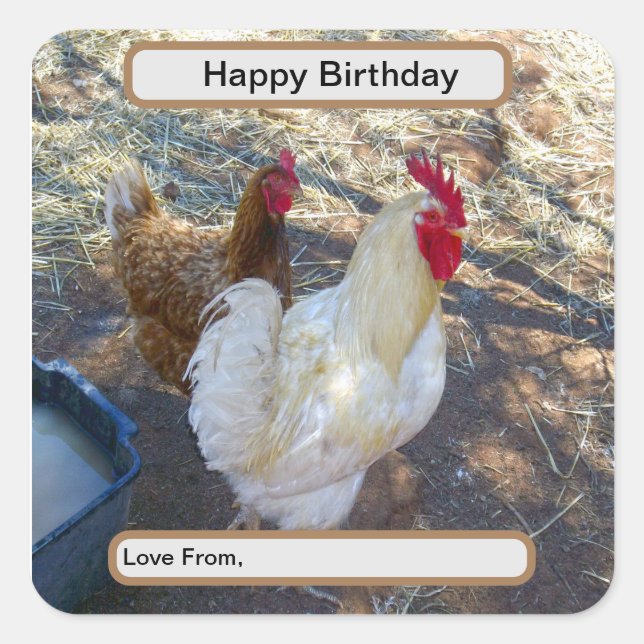 White Rooster With His Hen, Square Sticker (Front)