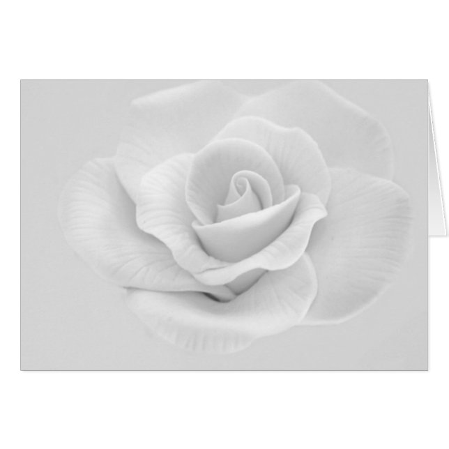 White Rose (Front Horizontal)