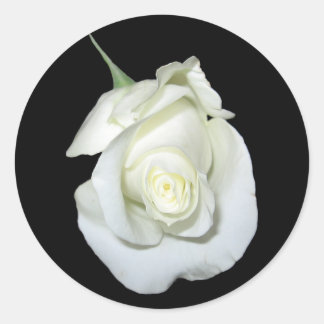 White Rose #1 Classic Round Sticker