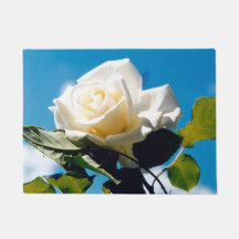 White Rose Beauty  