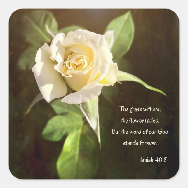 White Rose Bible Quote Square Sticker (Front)