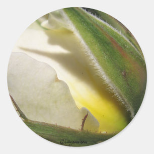 White Rose Bud Wedding Envelope Seal