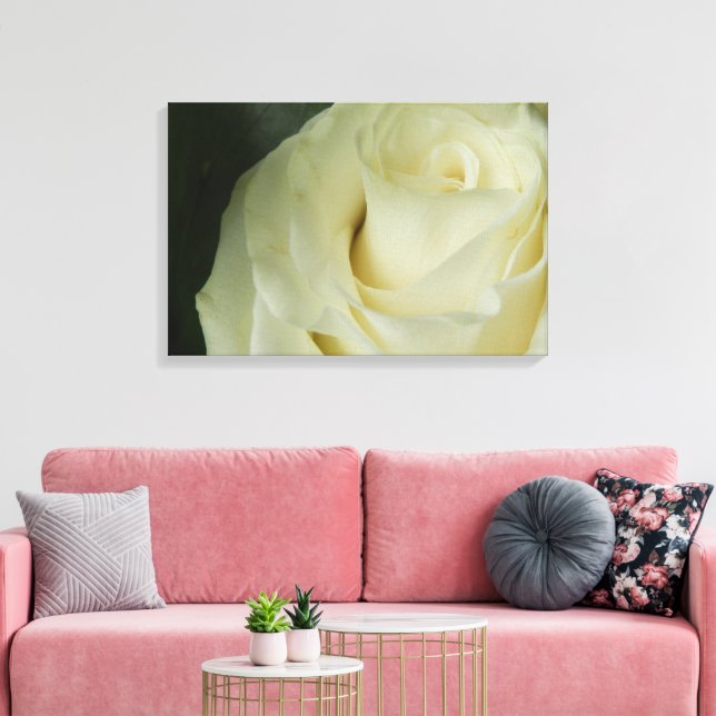 White Rose Canvas Print (Insitu(LivingRoom))