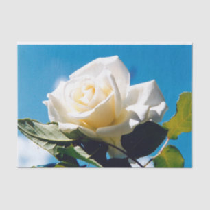 White rose - Celebrating Life   Tissue Paper