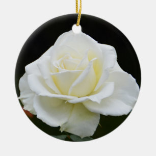 White rose ceramic ornament