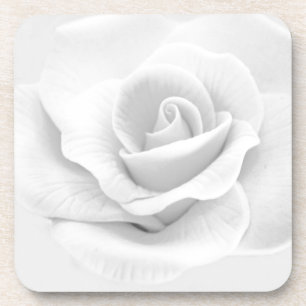 White Rose Coaster