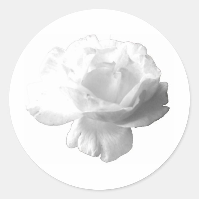 White Rose Design Classic Round Sticker (Front)