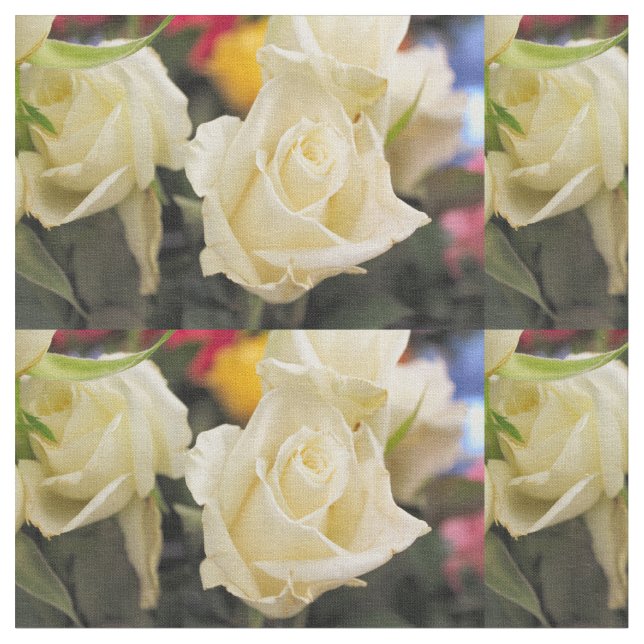 White rose fabric (Close Up)