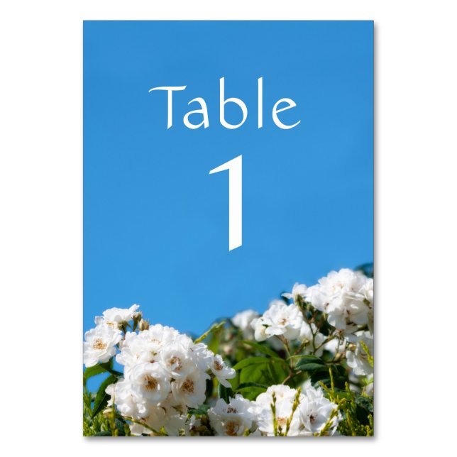 White rose floral table number (Front)