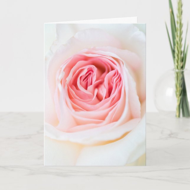"WHITE ROSE FLOWER" FLORAL GREETING CARD (Front)