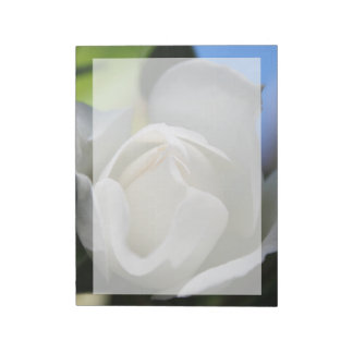 White rose flower. Floral photography. Notepad