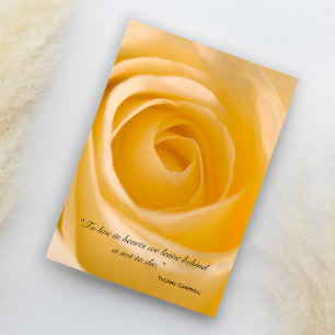 White Rose Flower Thank You for Your Sympathy Card