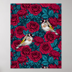 White rose flowers and goldfinch birds poster