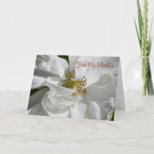 White Rose for Mom Card