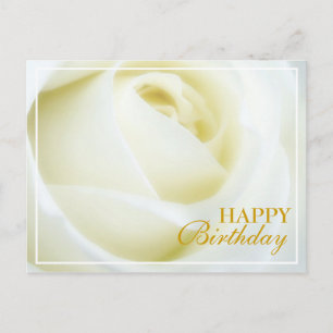 White Rose Happy Birthday Postcard