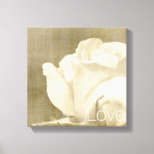White Rose Love Canvas Print