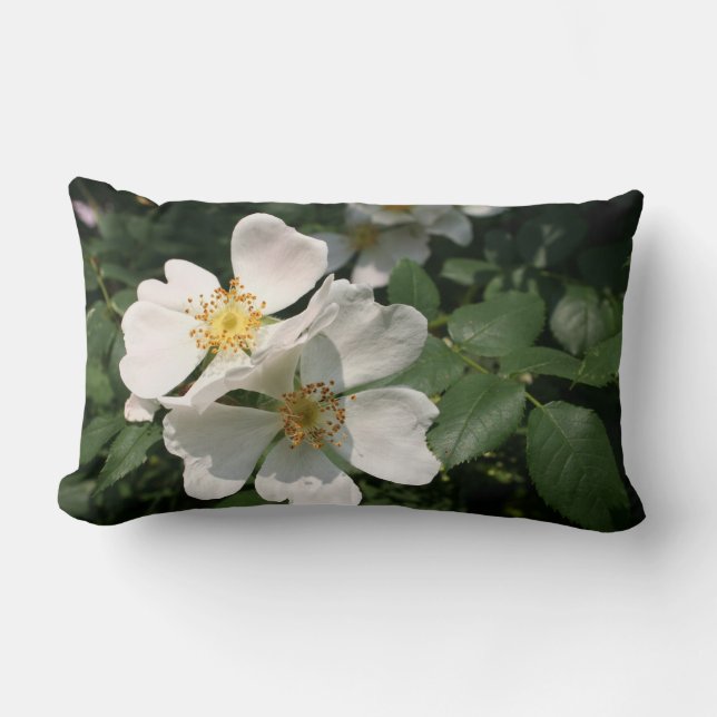 White Rose Lumbar Pillow (Front)