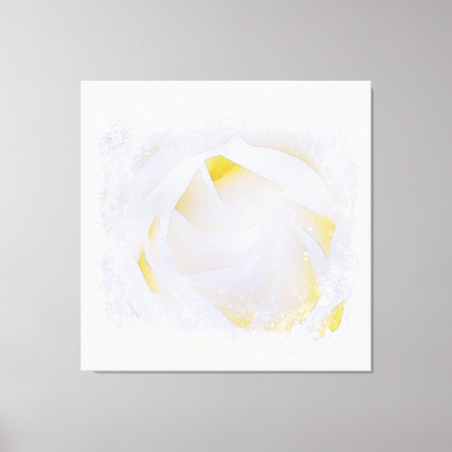 *~* White Rose Macro Floral Abstract Grunge AR8 Canvas Print (Front)