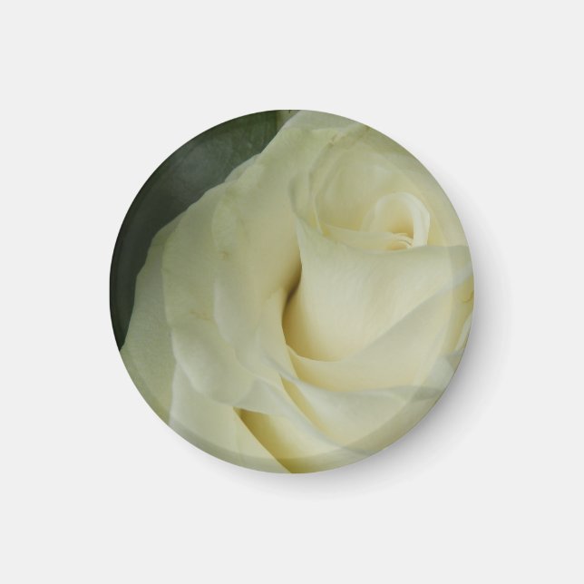 White Rose Magnet (Front)