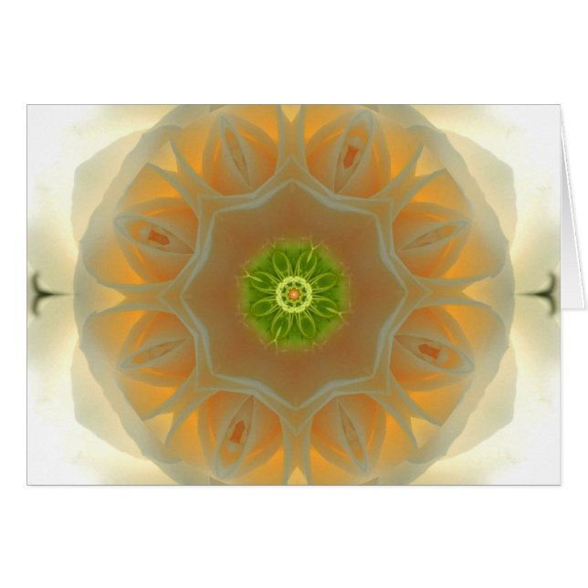 White Rose Mandala (Front Horizontal)