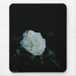 White Rose Mouse Pad