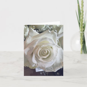 White Rose Note Card