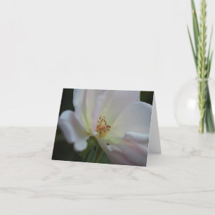White Rose Note Card