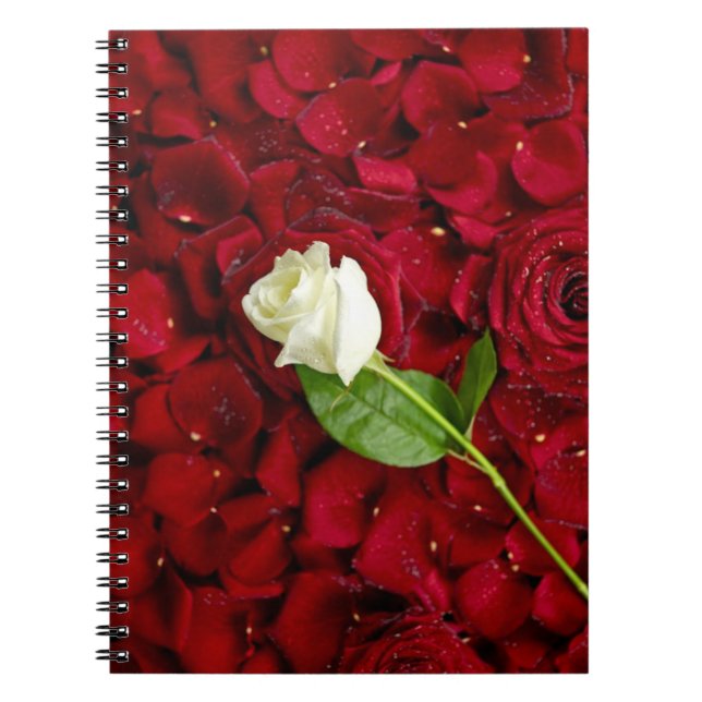 White Rose On Red Petals Notebook (Front)