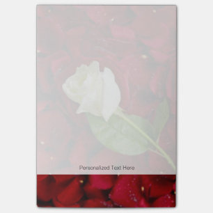 White Rose On Red Petals Post-it Notes