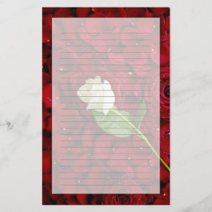 White Rose On Red Petals Stationery