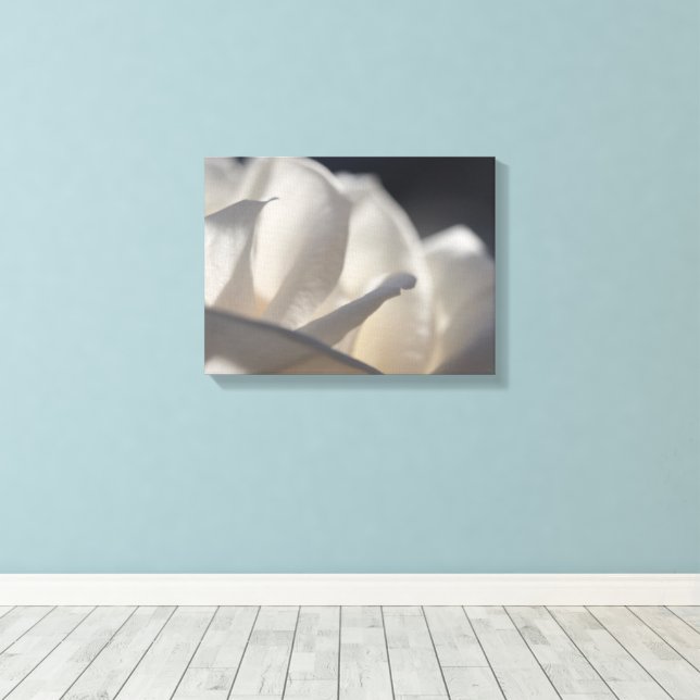 White Rose Petals Flower Canvas Print (Insitu(Wood Floor))