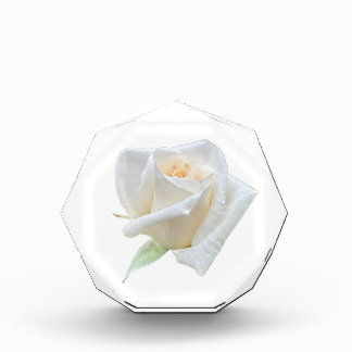 White Rose Photo Block