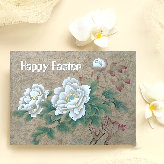 White Rose Postcard (Creator Uploaded)