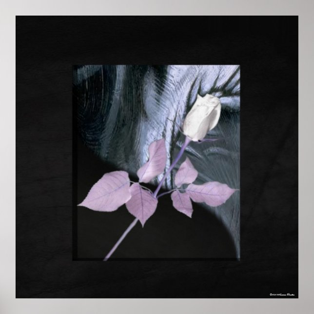 White Rose Print (Front)