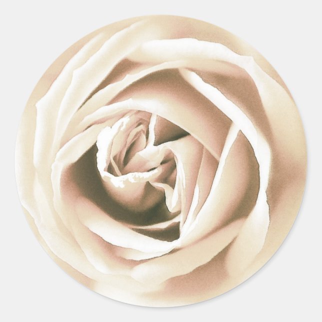 White rose print classic round sticker (Front)