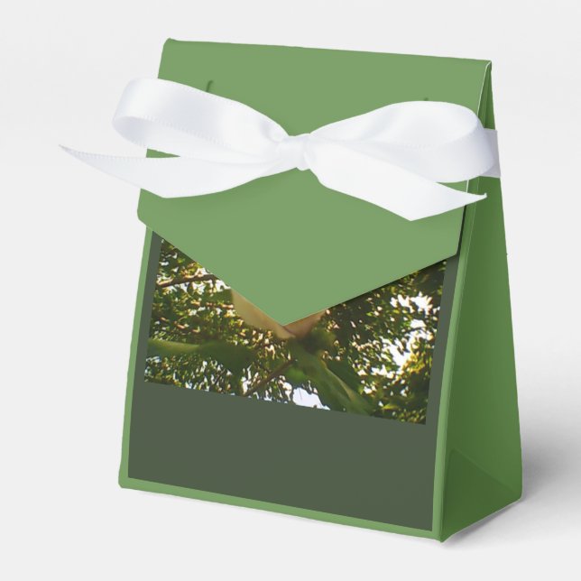 White Rose Ribbon Gift Favor Box (Front Side)