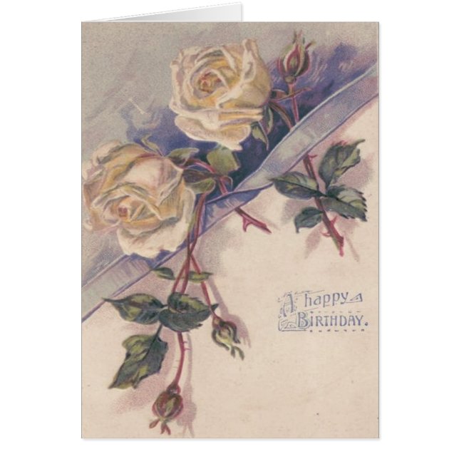 White Rose Roses Flowers (Front)